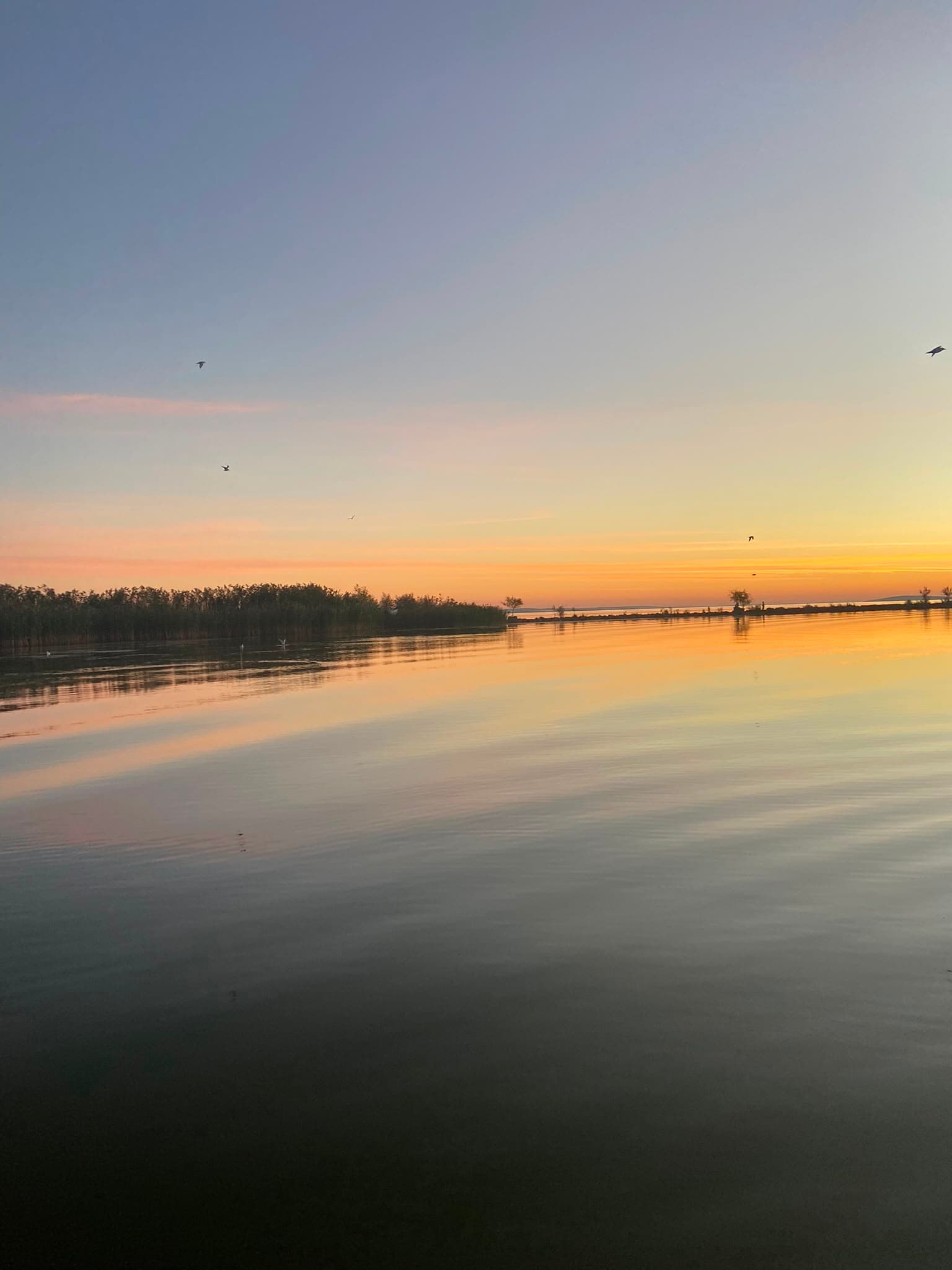 Apus peste lacul Razim