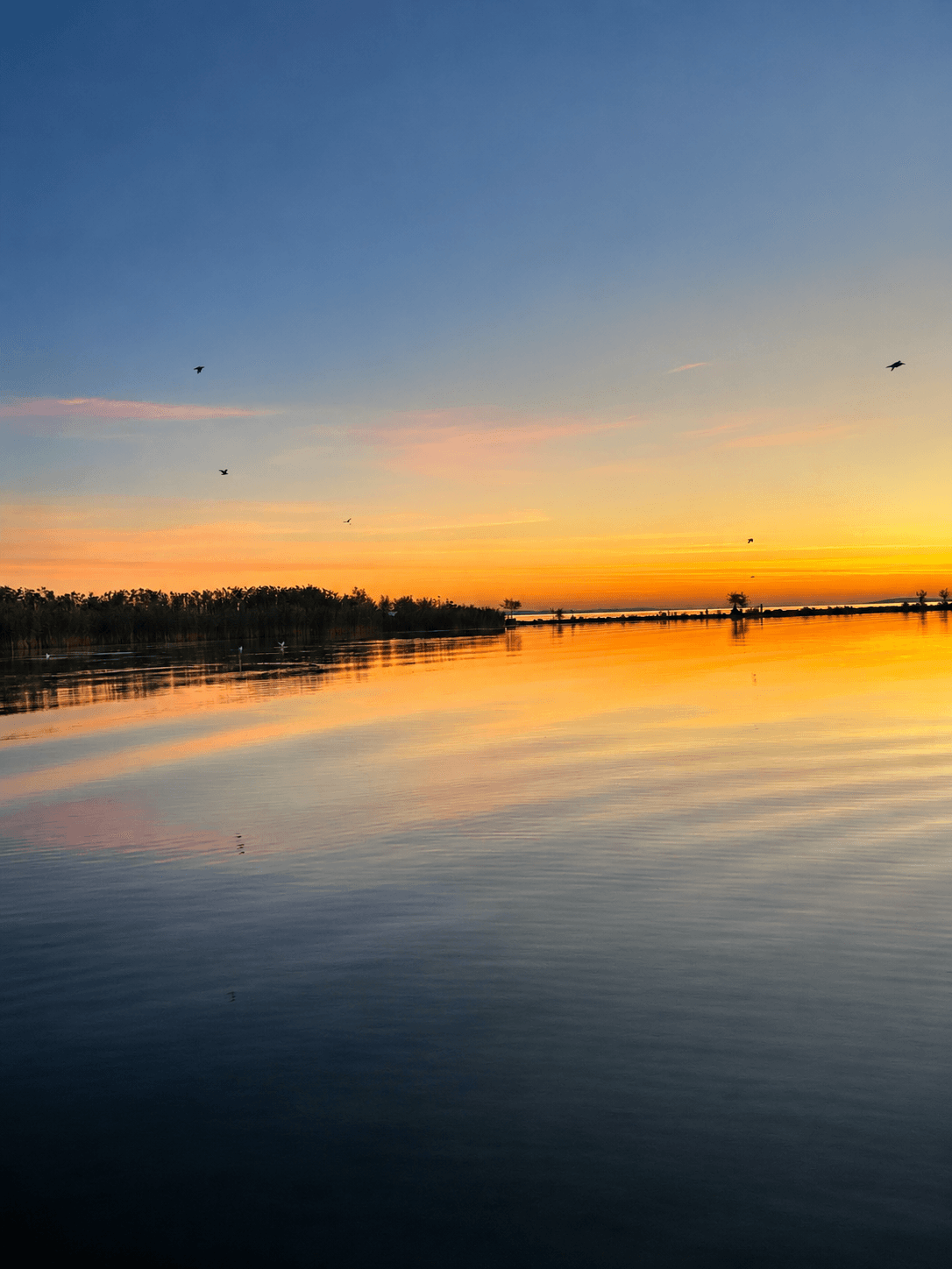 Lacul Razim la apus